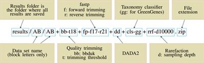 Snaq: A Dynamic Snakemake Pipeline for Microbiome Data Analysis With QIIME2